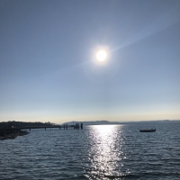 Cuicui plus cuite